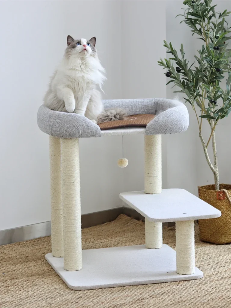 klösträd för stor katt